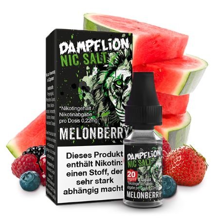 Dampflion Melonberry Nikotinsalz Liquid