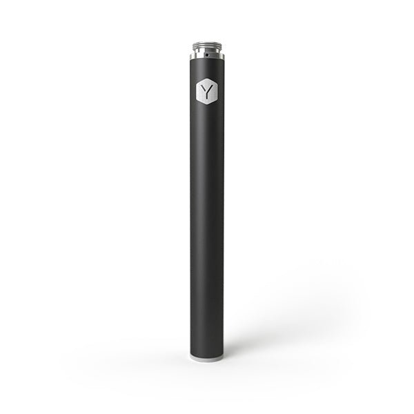 LYNDEN Akku Standard in schwarz